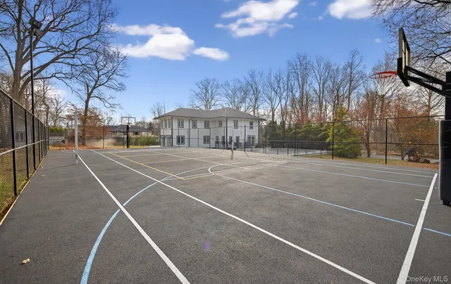 a view of backyard and tree