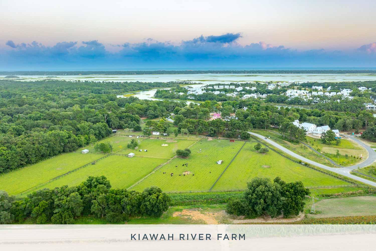 2115 Boatwright Road Johns Island, SC 29455 - Photo 48 of 52 farm_2
