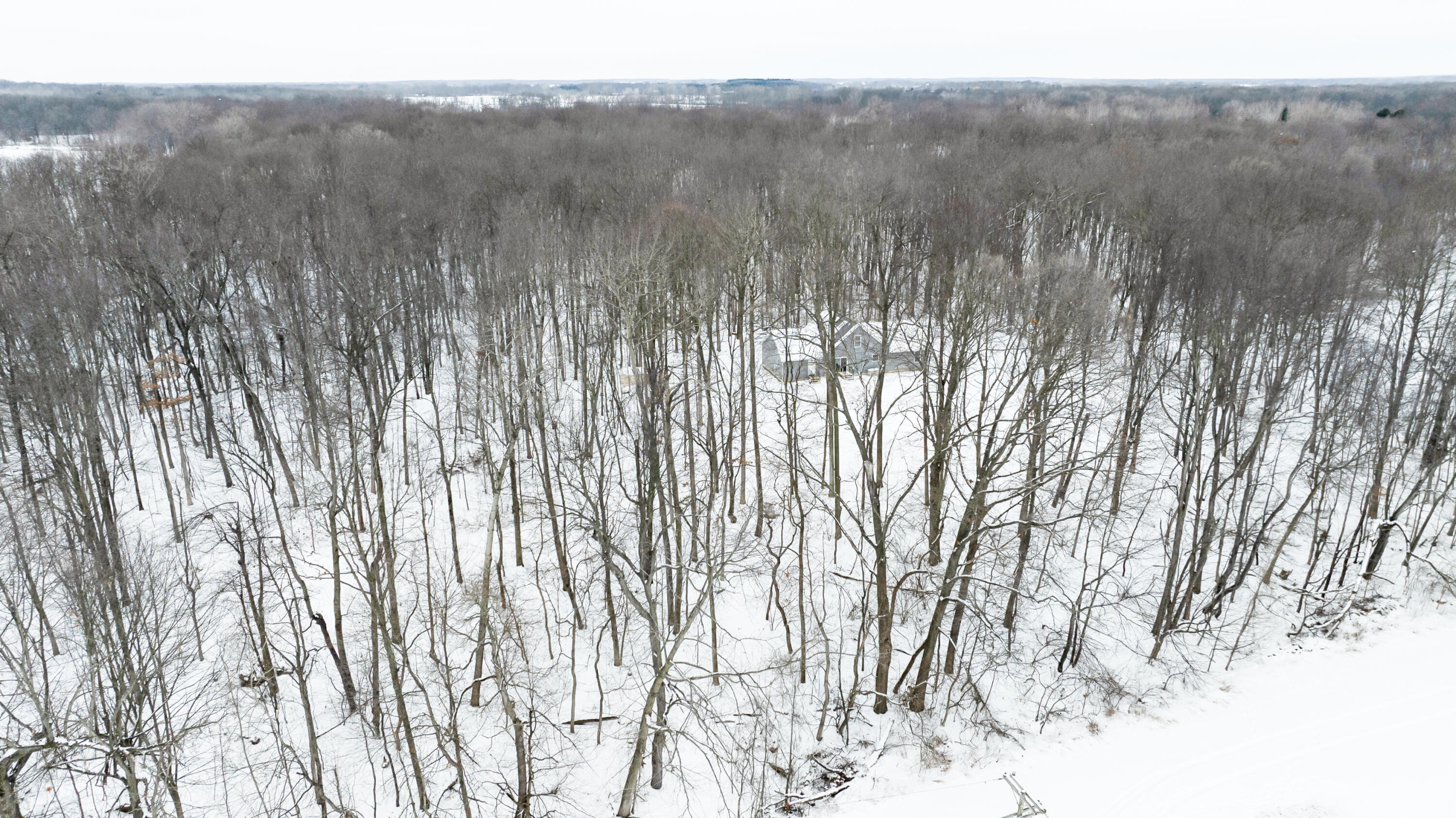 Ashlyn Court Fowlerville, MI 48836 - Photo 3 of 9 DJI_0188