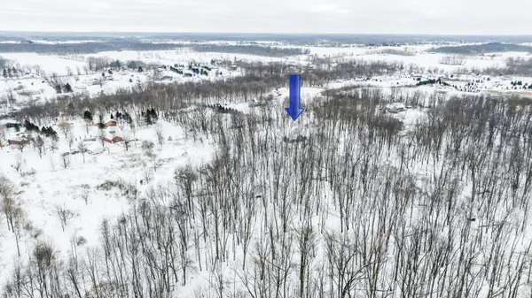 $125,000 | Ashlyn Court, Fowlerville, MI 48836