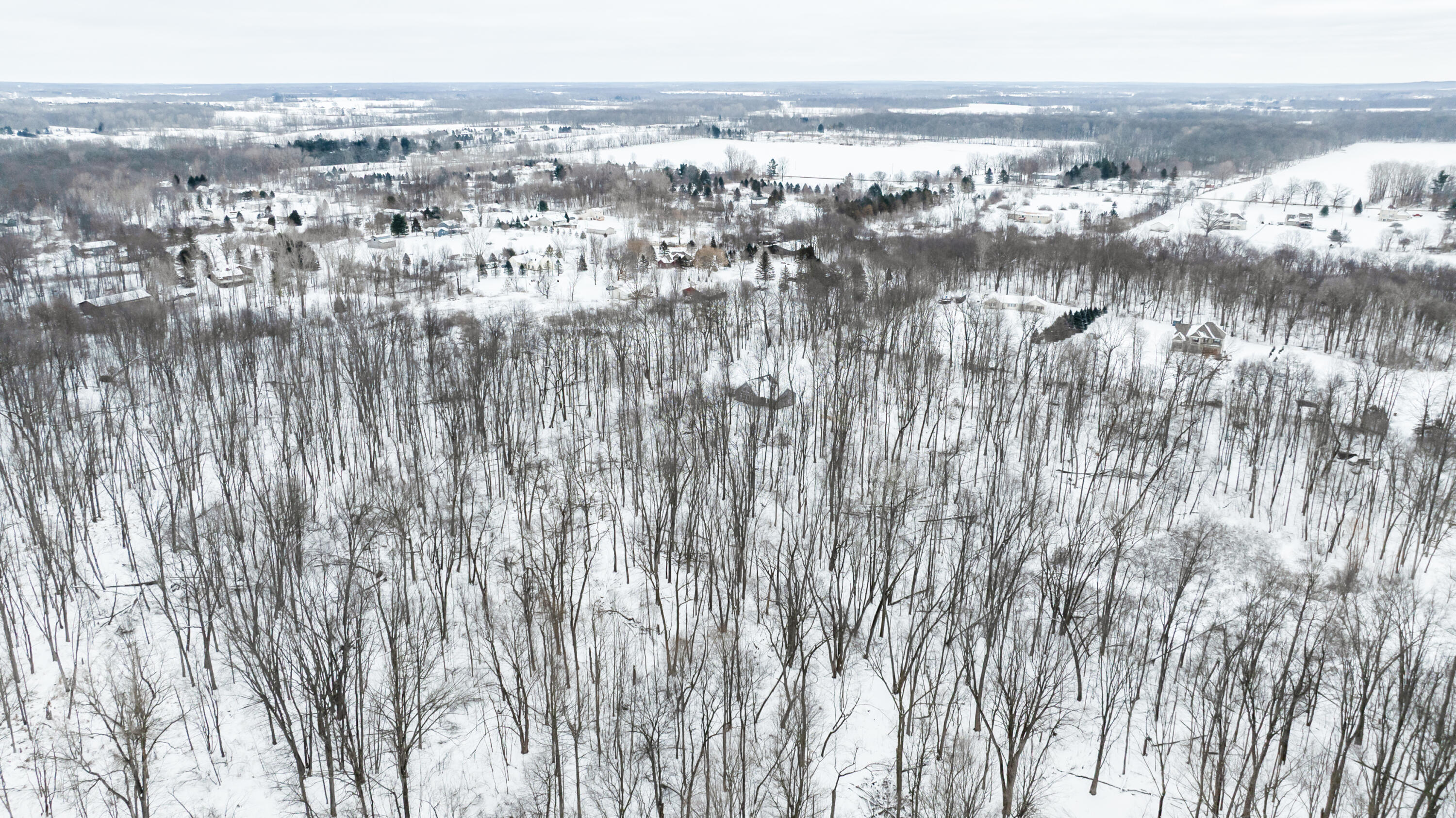 Ashlyn Court Fowlerville, MI 48836 - Photo 7 of 9 DJI_0195