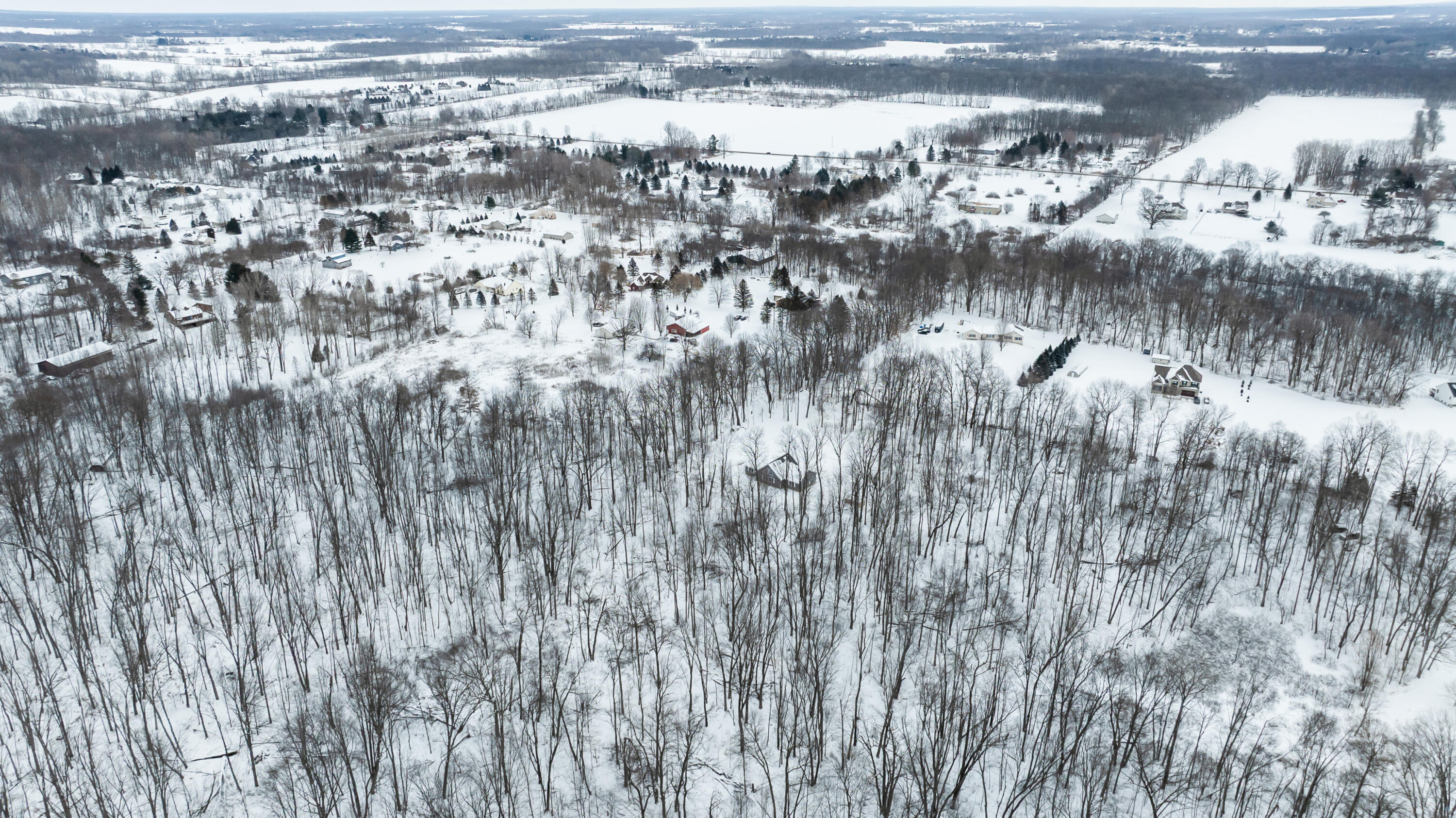 Ashlyn Court Fowlerville, MI 48836 - Photo 9 of 9 DJI_0205