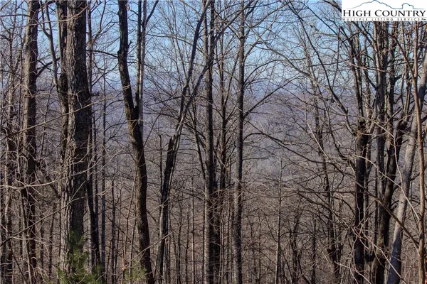 $89,000 | 2216 Nighthawk Ridge Court, Lenoir, NC 28645