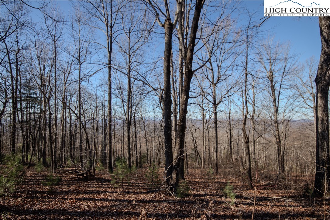 2216 Nighthawk Ridge Court Lenoir, NC 28645 - Photo 5 of 9