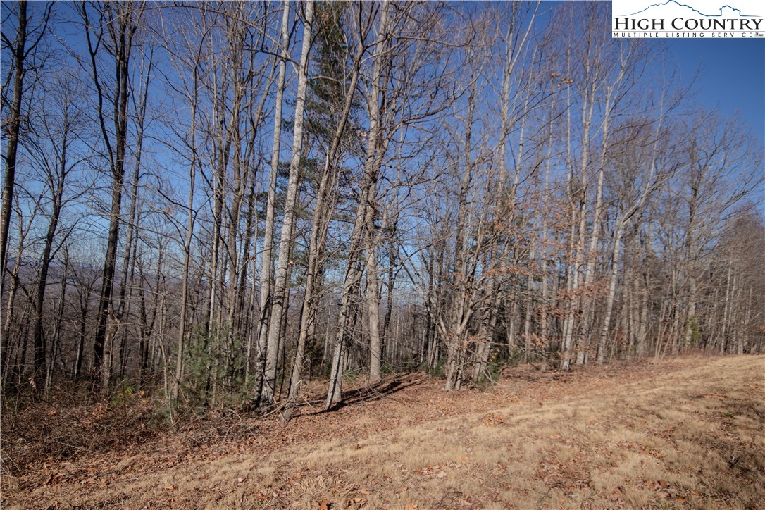 2216 Nighthawk Ridge Court Lenoir, NC 28645 - Photo 8 of 9