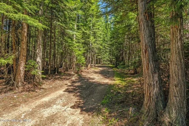 $175,000 | Nka Nka Wandering Wolf Ridge, Clark Fork, ID 83811