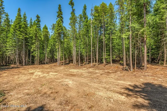 $175,000 | Nka Nka Wandering Wolf Ridge, Clark Fork, ID 83811