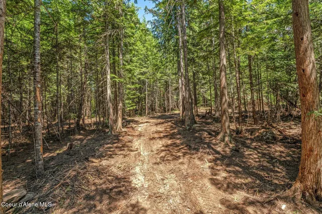 $175,000 | Nka Nka Wandering Wolf Ridge, Clark Fork, ID 83811