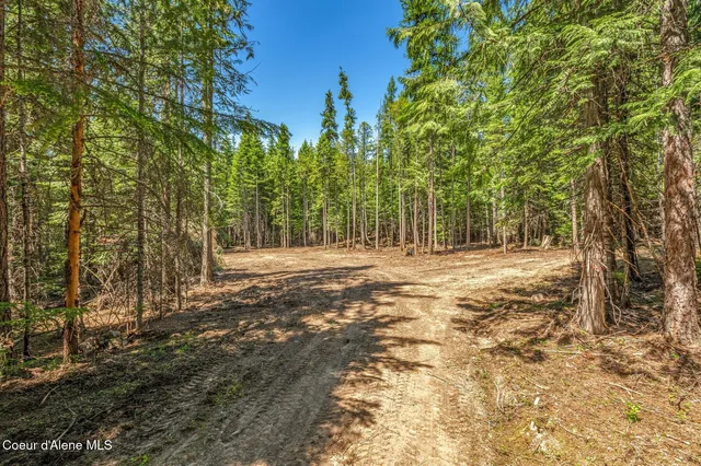 $175,000 | Nka Nka Wandering Wolf Ridge, Clark Fork, ID 83811