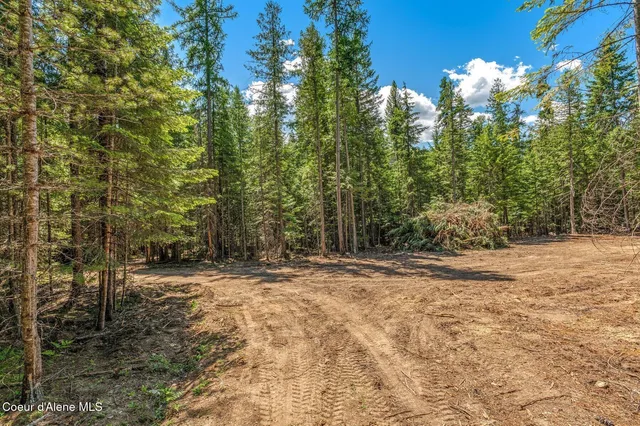 $175,000 | Nka Nka Wandering Wolf Ridge, Clark Fork, ID 83811