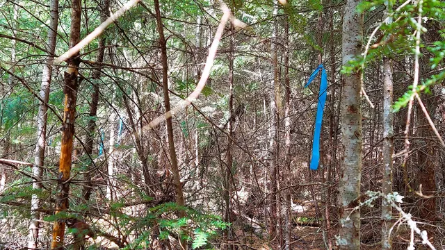 $175,000 | Nka Nka Wandering Wolf Ridge, Clark Fork, ID 83811