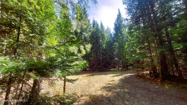 $175,000 | Nka Nka Wandering Wolf Ridge, Clark Fork, ID 83811