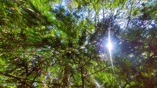 $175,000 | Nka Nka Wandering Wolf Ridge, Clark Fork, ID 83811