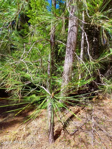 $175,000 | Nka Nka Wandering Wolf Ridge, Clark Fork, ID 83811