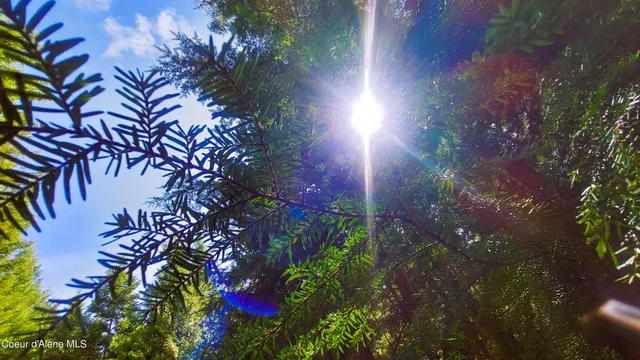 $175,000 | Nka Nka Wandering Wolf Ridge, Clark Fork, ID 83811