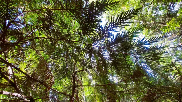 $175,000 | Nka Nka Wandering Wolf Ridge, Clark Fork, ID 83811