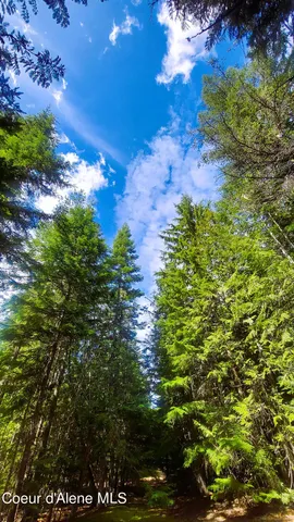 $175,000 | Nka Nka Wandering Wolf Ridge, Clark Fork, ID 83811