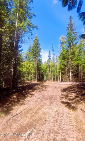 $175,000 | Nka Nka Wandering Wolf Ridge, Clark Fork, ID 83811