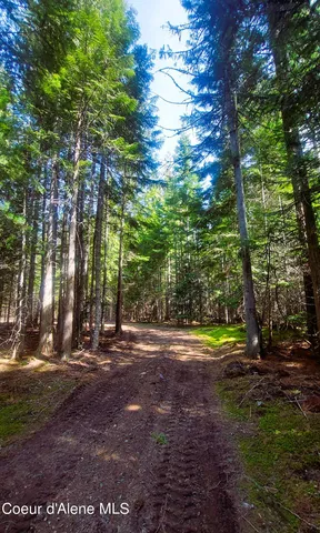 $175,000 | Nka Nka Wandering Wolf Ridge, Clark Fork, ID 83811