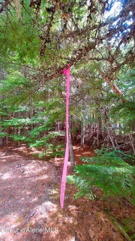 $175,000 | Nka Nka Wandering Wolf Ridge, Clark Fork, ID 83811