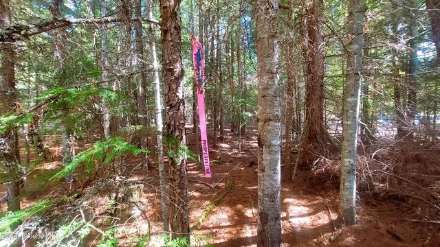 $175,000 | Nka Nka Wandering Wolf Ridge, Clark Fork, ID 83811