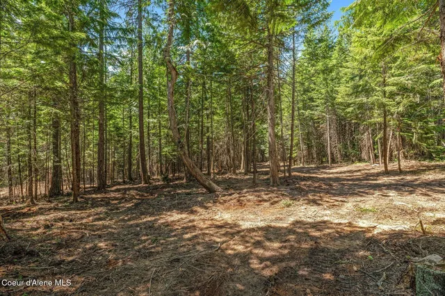 $175,000 | Nka Nka Wandering Wolf Ridge, Clark Fork, ID 83811