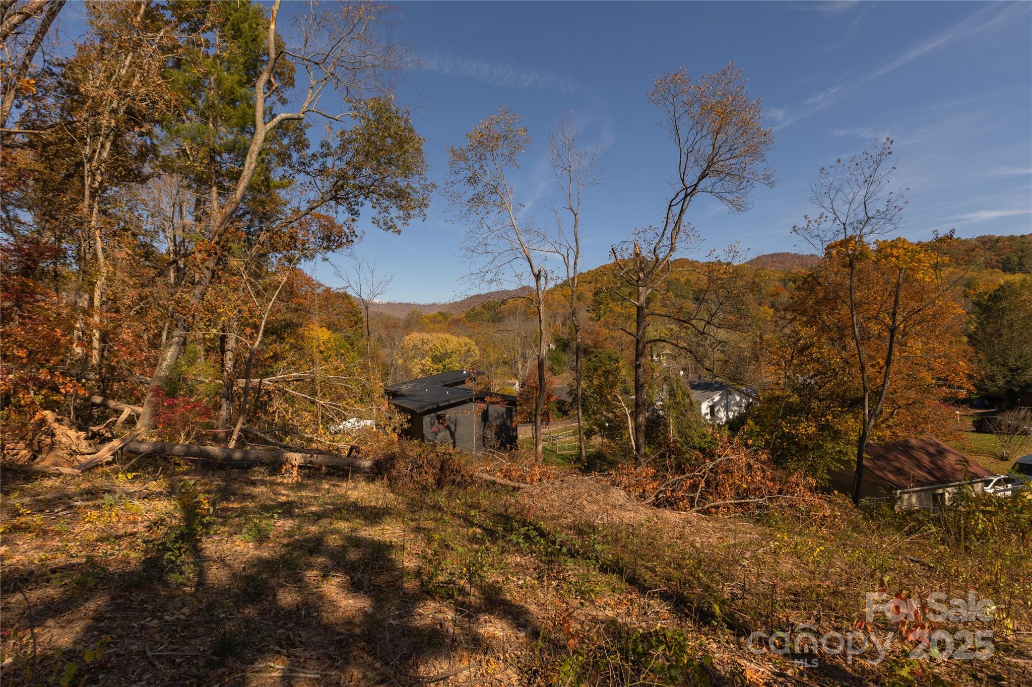 13 Bassett Road Asheville, NC 28804 - Photo 4 of 16 a view of a backyard