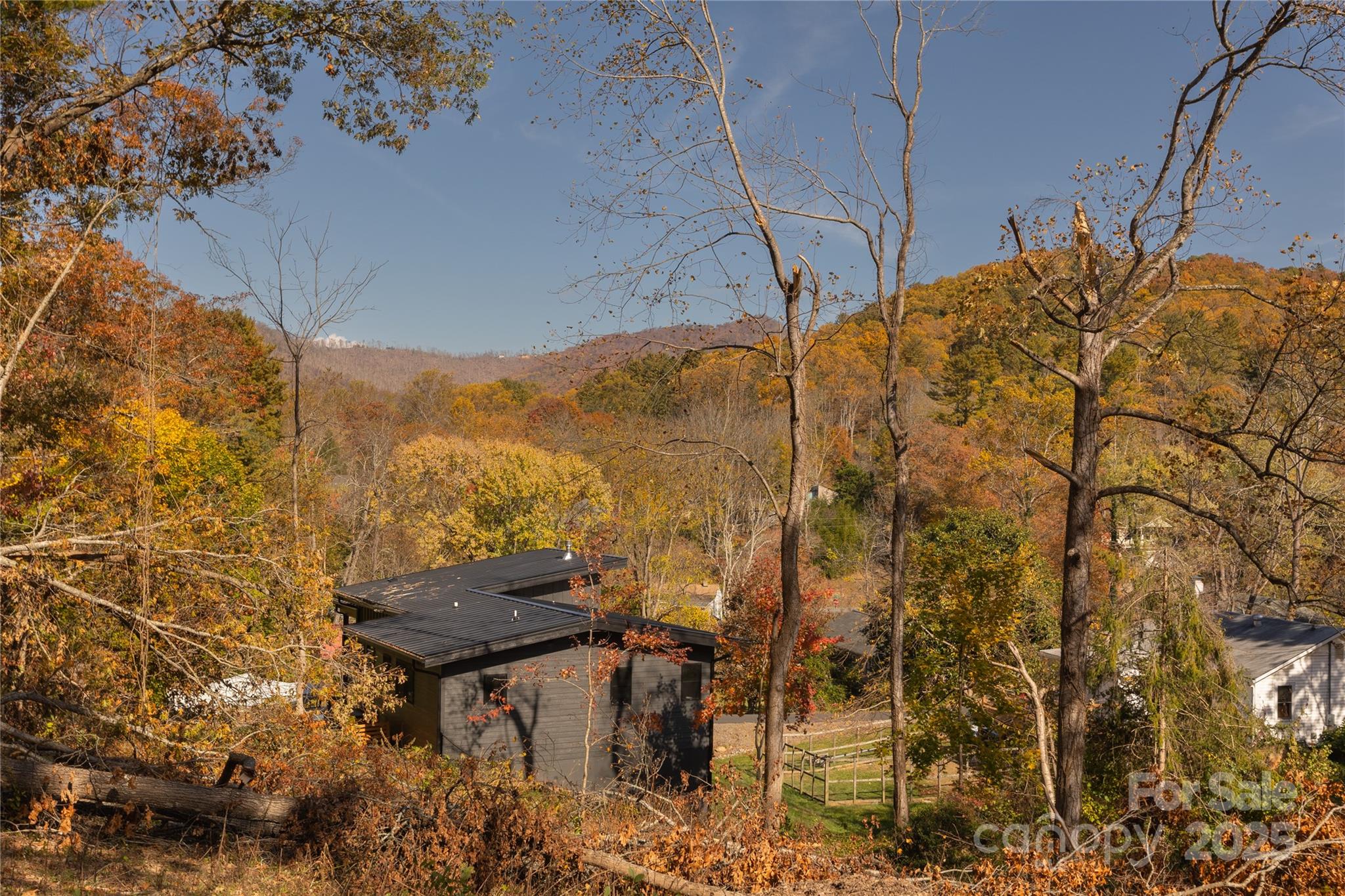 13 Bassett Road Asheville, NC 28804 - Photo 5 of 16 a view of a backyard