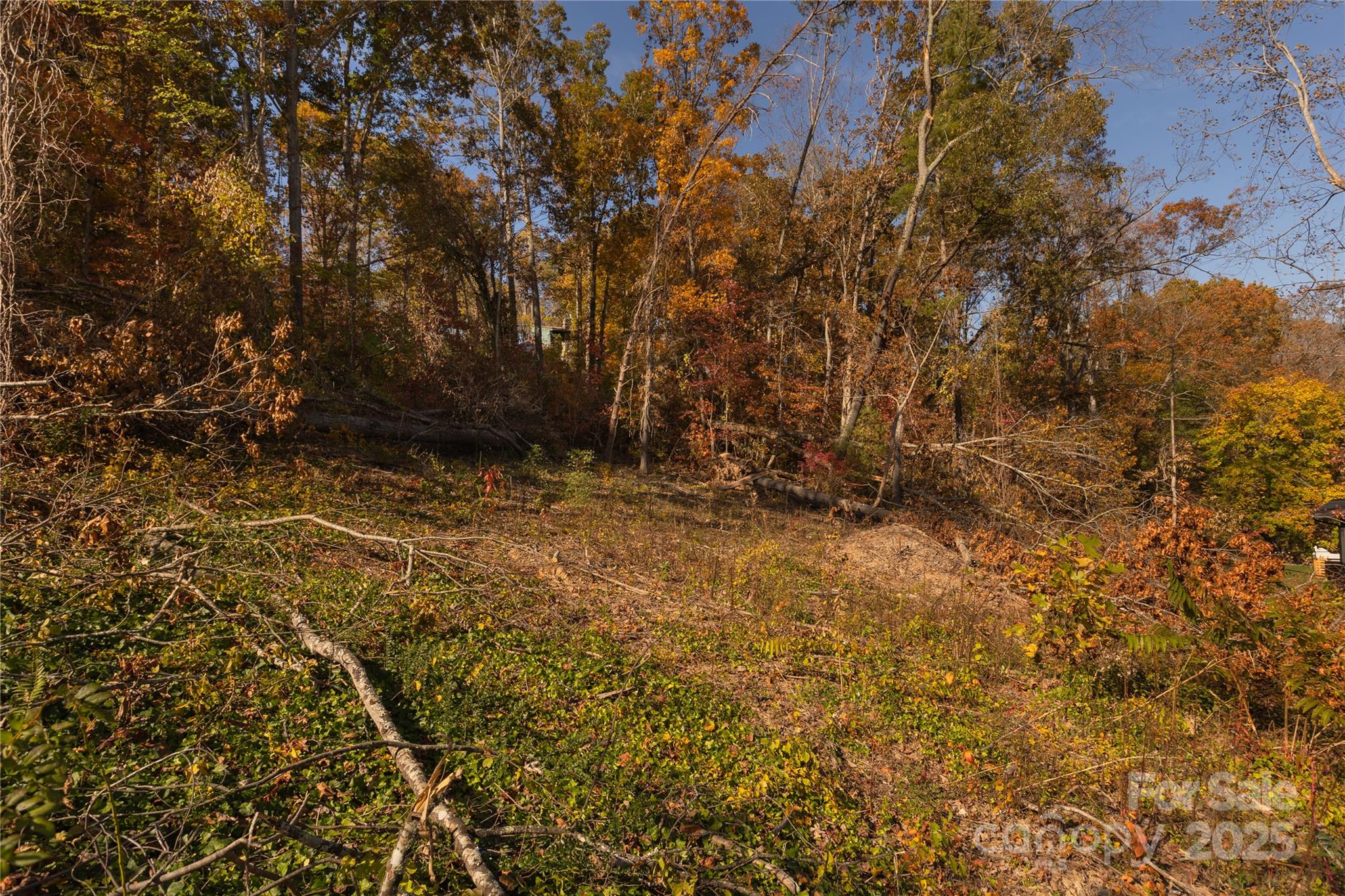 13 Bassett Road Asheville, NC 28804 - Photo 6 of 16 a view of outdoor space and yard