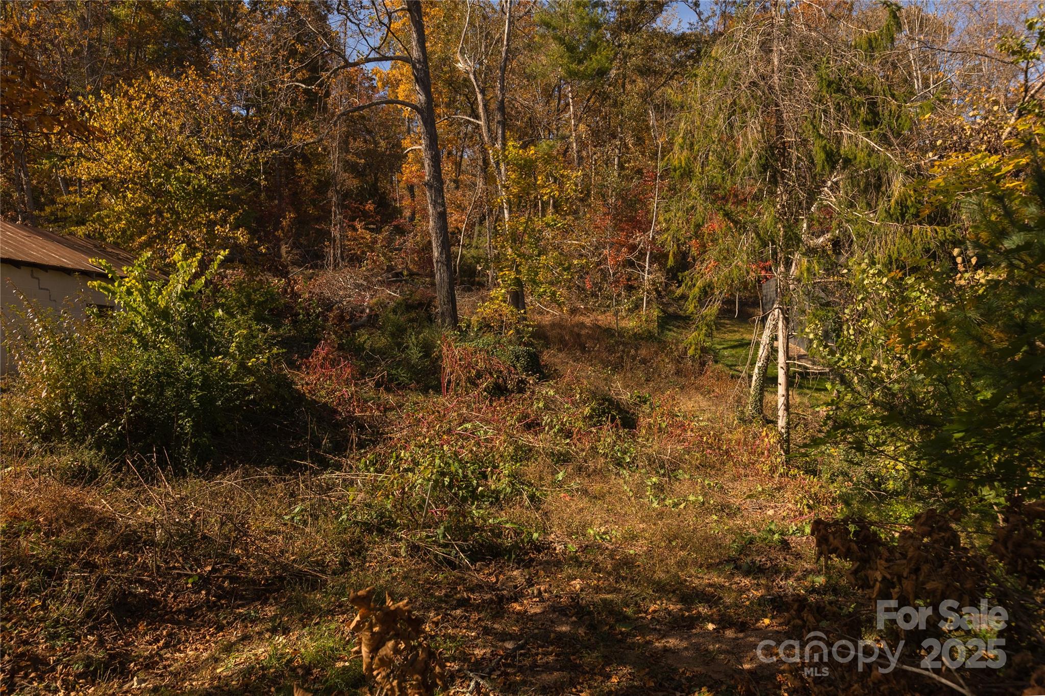 13 Bassett Road Asheville, NC 28804 - Photo 9 of 16 a view of a yard