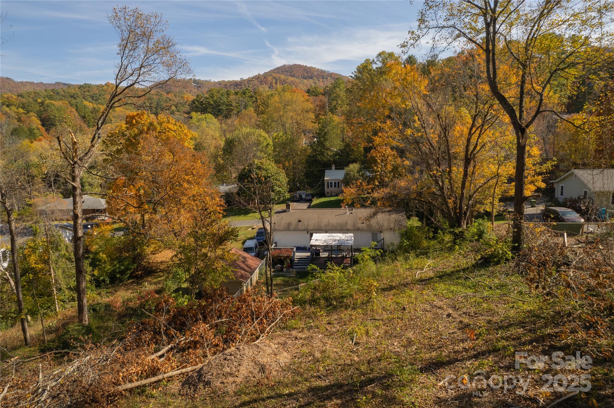 13 Bassett Road Asheville, NC 28804 - Photo 10 of 16 a view of a yard