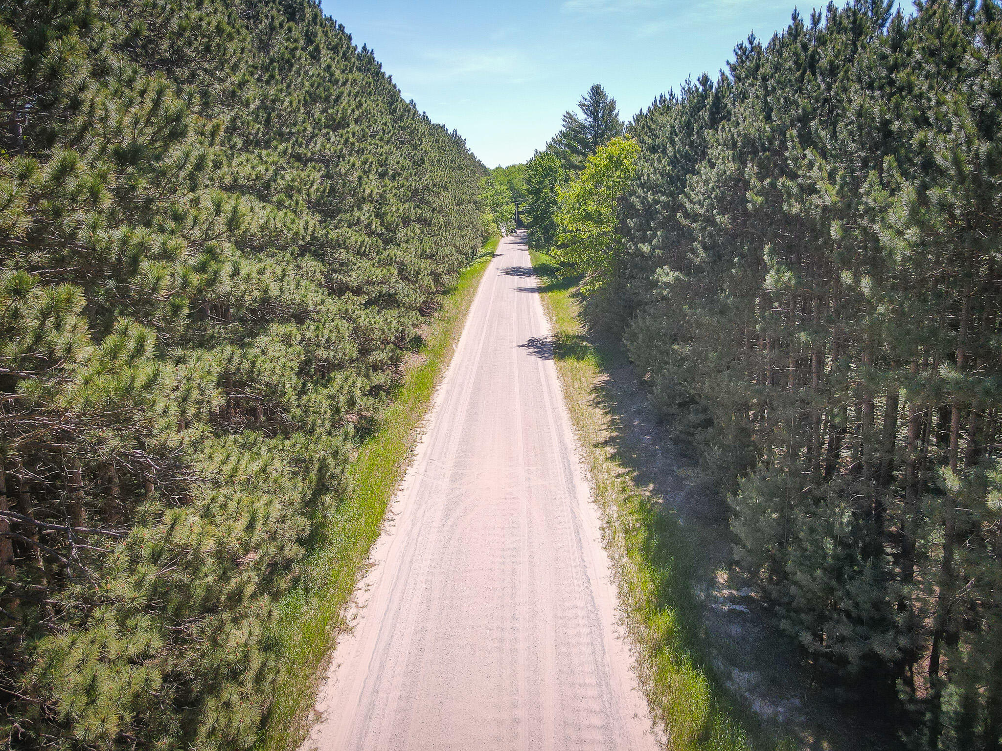 Parcel A Makinen Road Kaleva, MI 49645 - Photo 3 of 29 DJI_0279