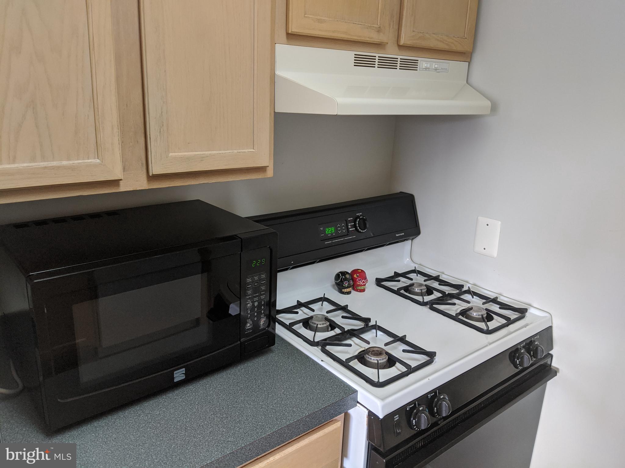 635 Waterloo Road, Unit 231 Warrenton, VA 20186 - Photo 13 of 32 Modern kitchen with sleek appliances.
