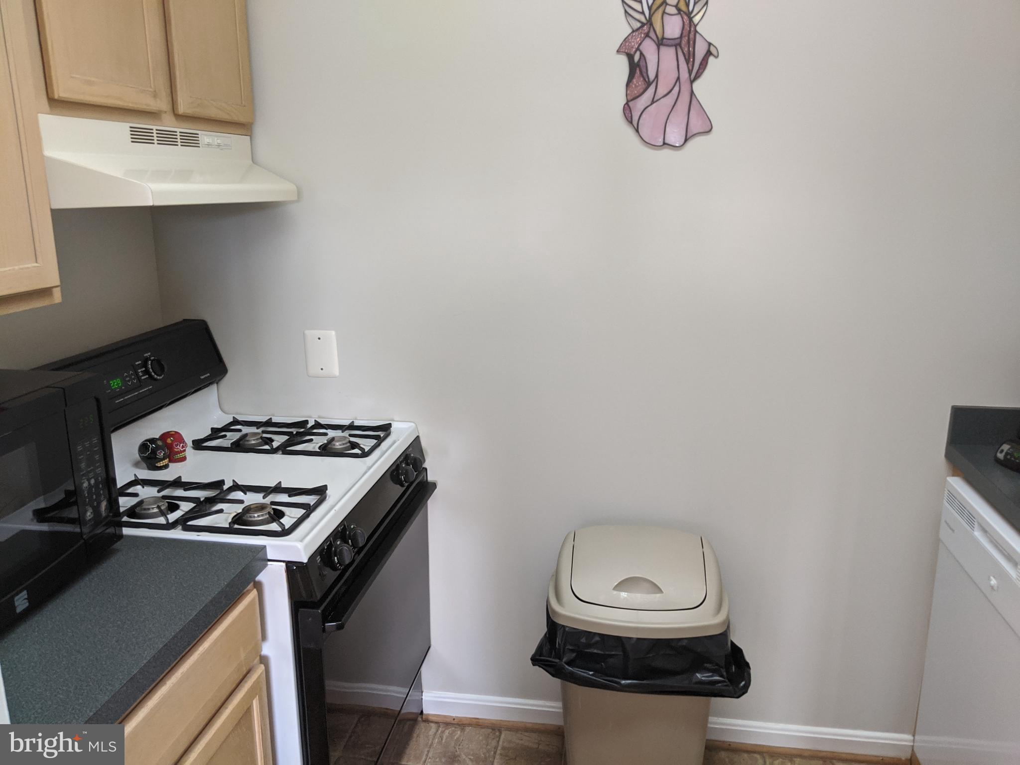 635 Waterloo Road, Unit 231 Warrenton, VA 20186 - Photo 15 of 32 Cozy kitchen with modern appliances.