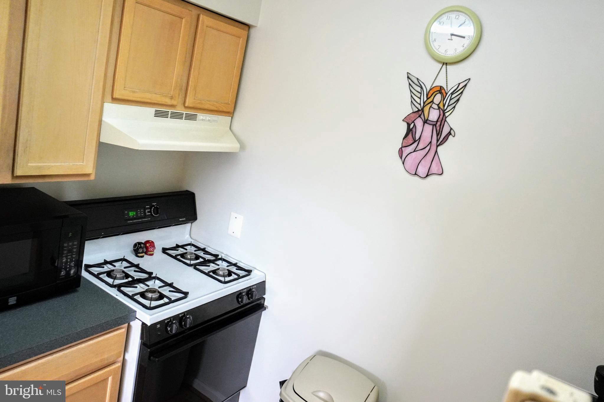 635 Waterloo Road, Unit 231 Warrenton, VA 20186 - Photo 4 of 32 Charming kitchen with elegant accents.