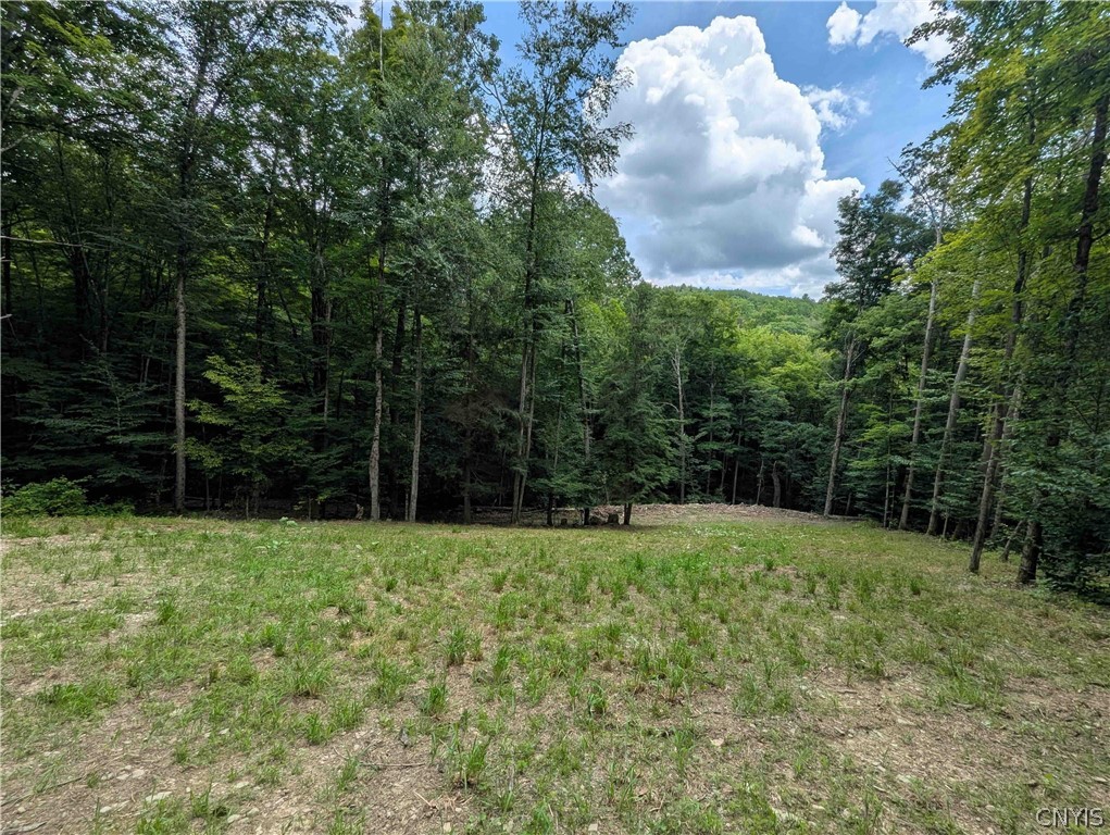 Akins Road Cohocton, NY 14826 - Photo 22 of 50