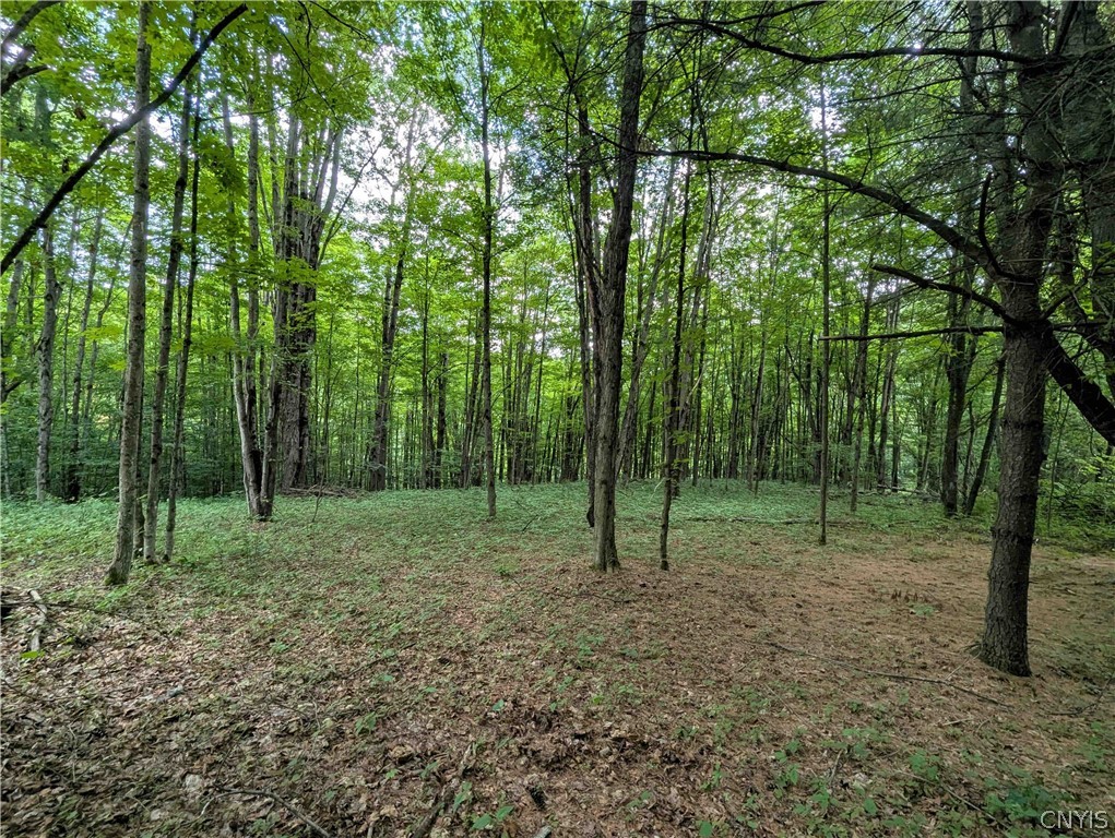 Akins Road Cohocton, NY 14826 - Photo 23 of 50