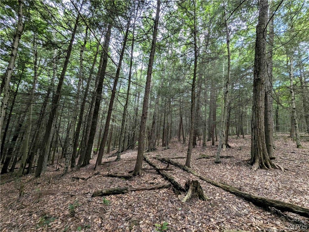 Akins Road Cohocton, NY 14826 - Photo 24 of 50