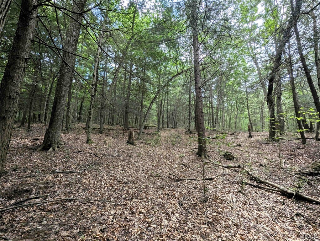 Akins Road Cohocton, NY 14826 - Photo 25 of 50