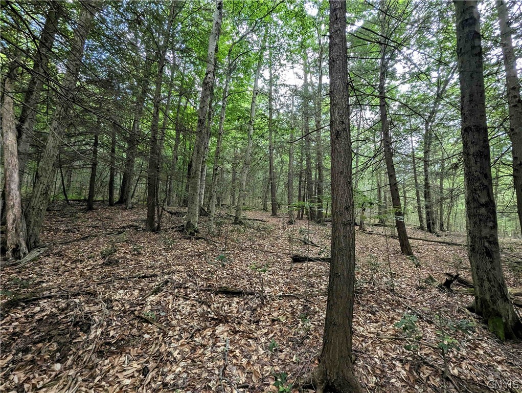 Akins Road Cohocton, NY 14826 - Photo 26 of 50