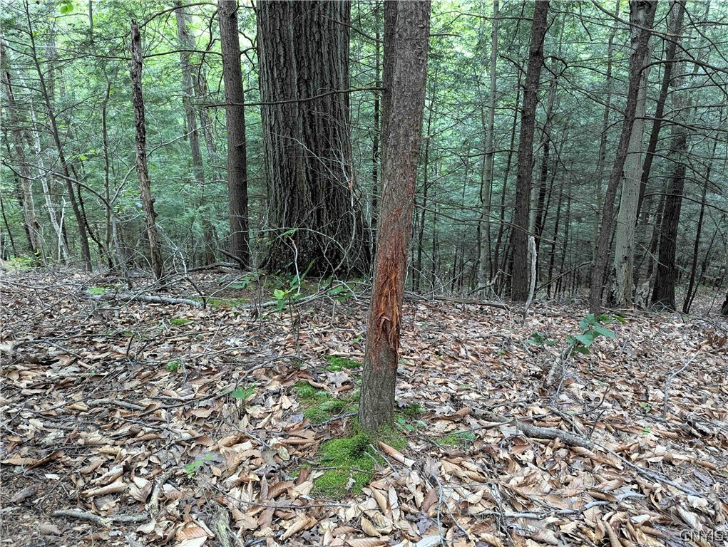 Akins Road Cohocton, NY 14826 - Photo 28 of 50