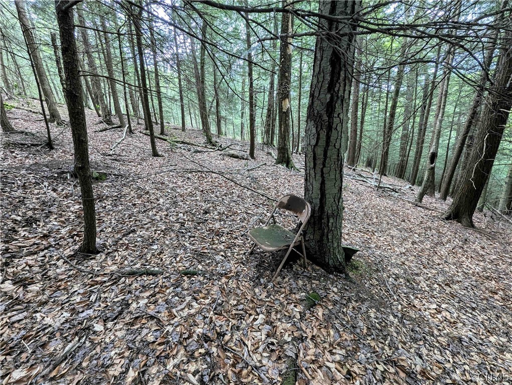 Akins Road Cohocton, NY 14826 - Photo 33 of 50