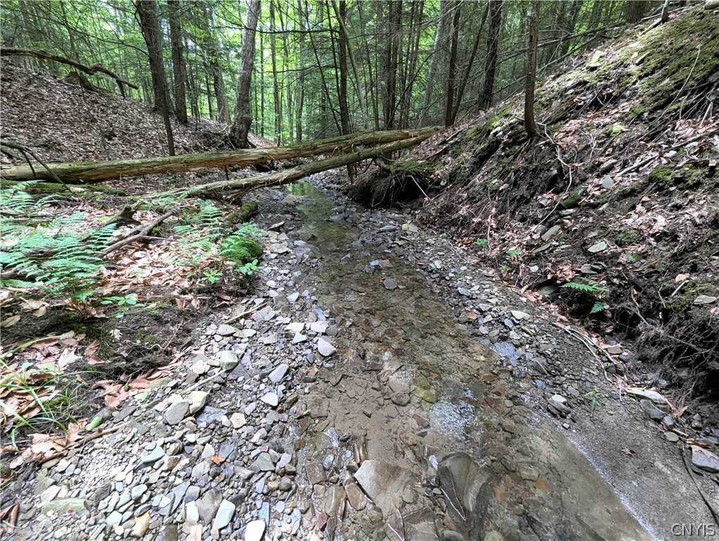 Akins Road Cohocton, NY 14826 - Photo 35 of 50