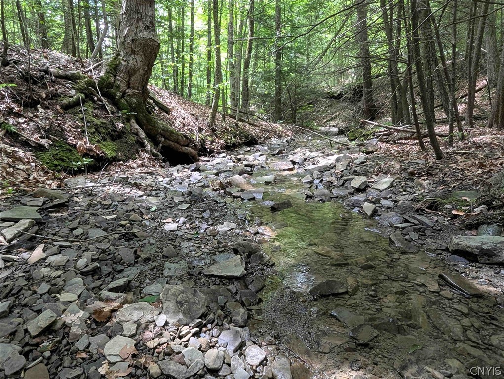 Akins Road Cohocton, NY 14826 - Photo 37 of 50