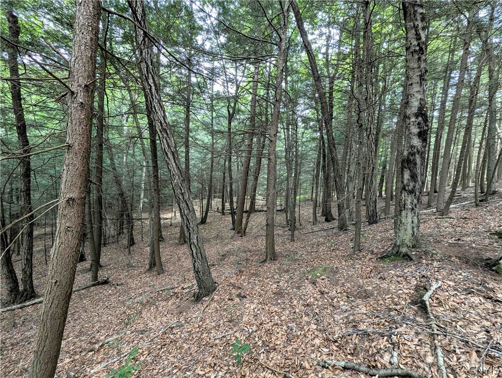 Akins Road Cohocton, NY 14826 - Photo 39 of 50