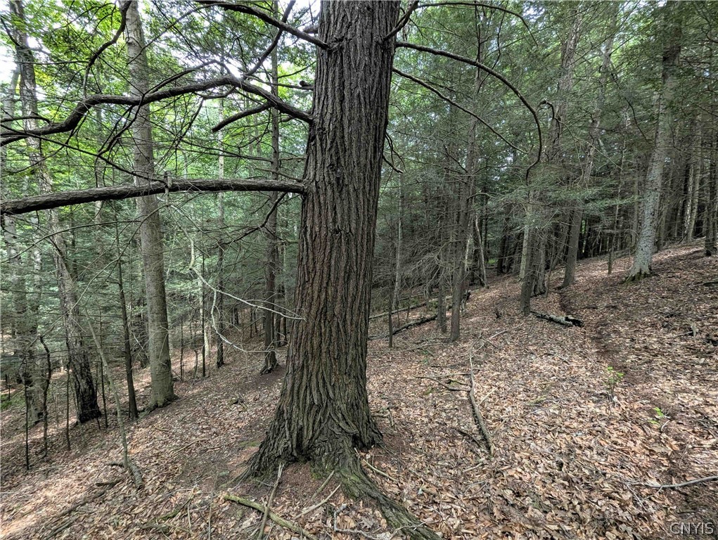 Akins Road Cohocton, NY 14826 - Photo 40 of 50