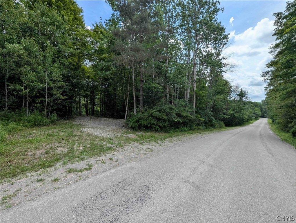 Akins Road Cohocton, NY 14826 - Photo 41 of 50