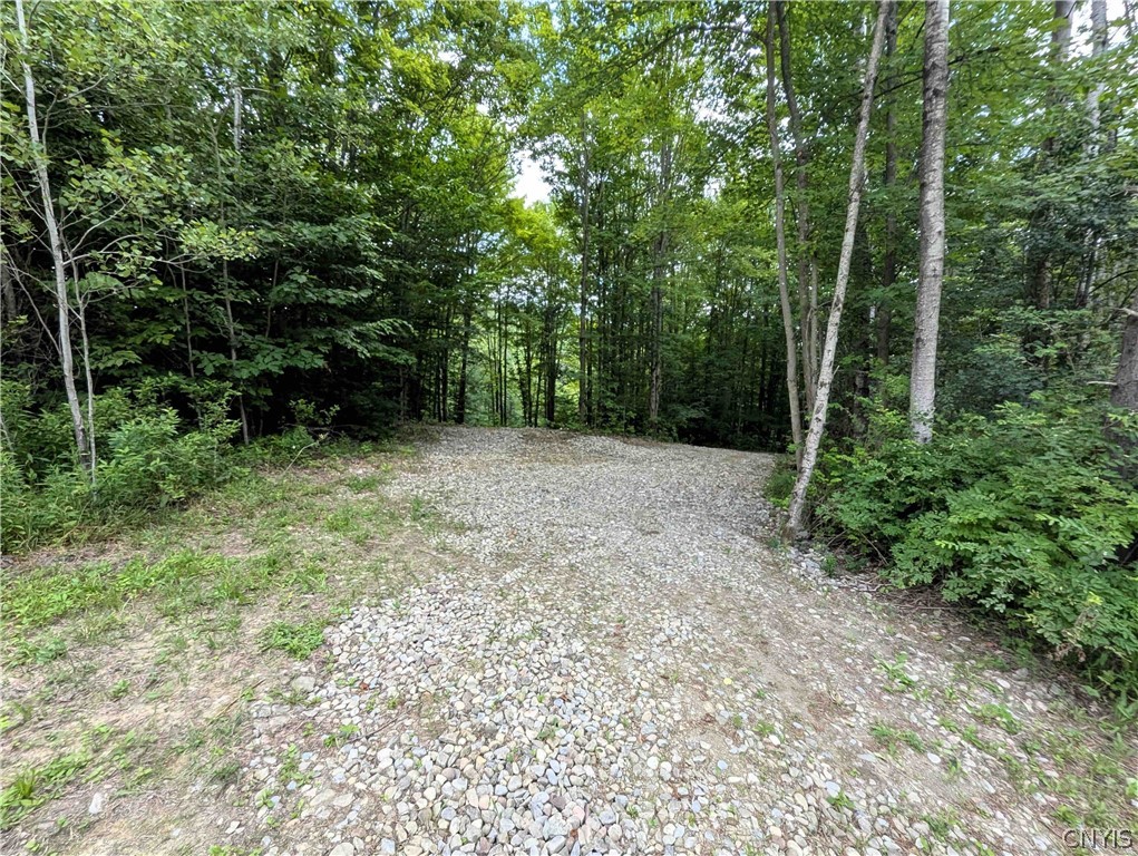 Akins Road Cohocton, NY 14826 - Photo 43 of 50