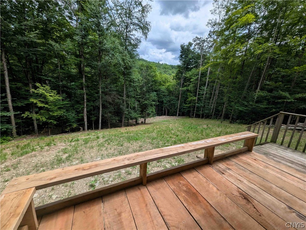 Akins Road Cohocton, NY 14826 - Photo 6 of 50