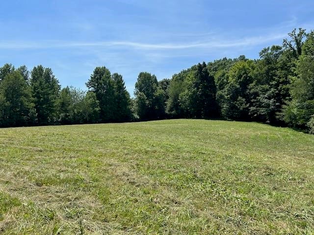 0 Mt Tussell Road Knifley, KY 42753 - Photo 10 of 46 Gallery Image 10